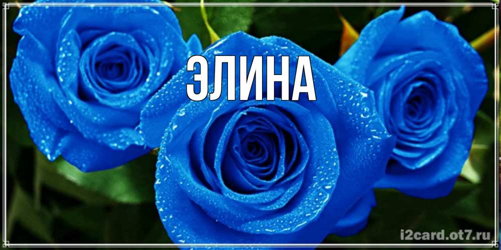 Открытка на каждый день с именем, Элина Главная розы с синим цветом Прикольная открытка с пожеланием онлайн скачать бесплатно 