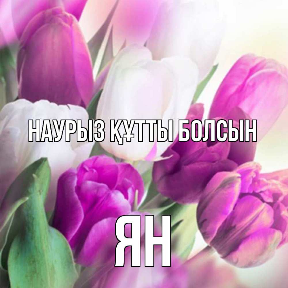 Открытка на каждый день с именем, Ян Наурыз құтты болсын весна 1 Прикольная открытка с пожеланием онлайн скачать бесплатно 
