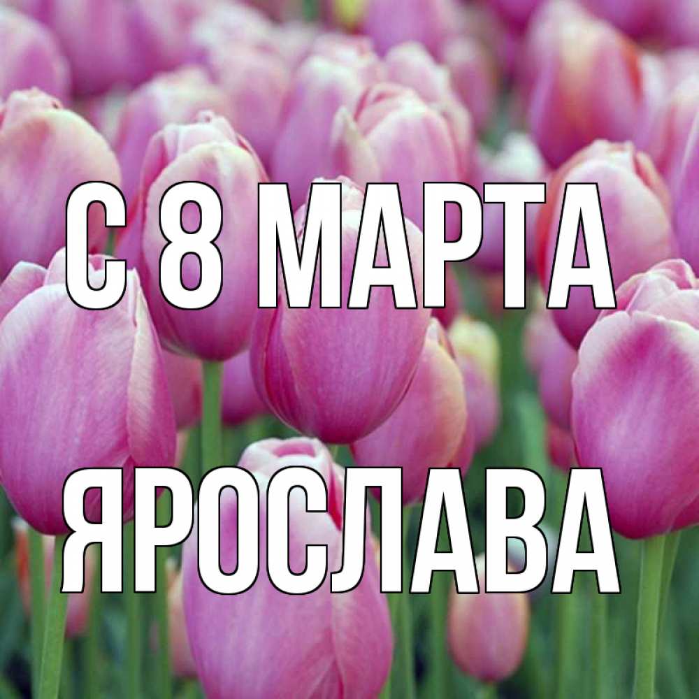 Открытка на каждый день с именем, Ярослава С 8 МАРТА на международный женский день 3 Прикольная открытка с пожеланием онлайн скачать бесплатно 