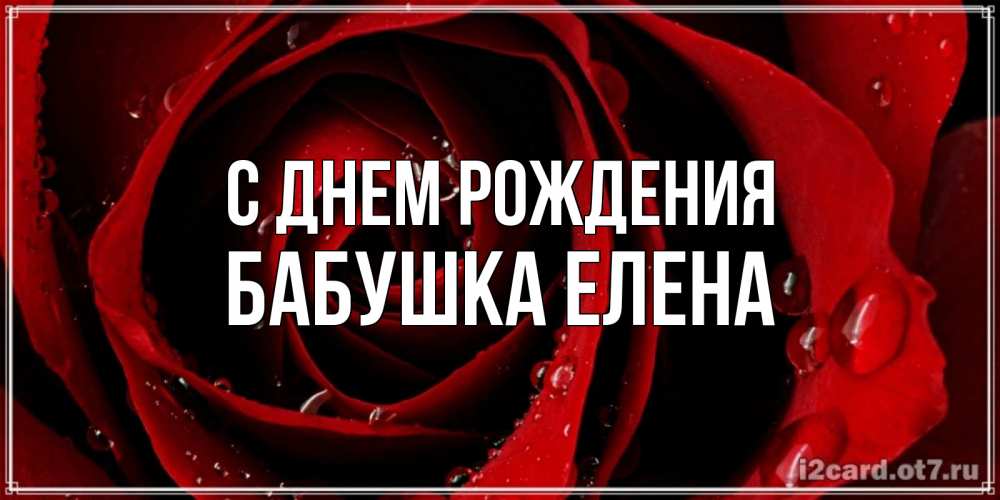 Открытка на каждый день с именем, Бабушка-Елена С днем рождения крупная бордовая роза Прикольная открытка с пожеланием онлайн скачать бесплатно 