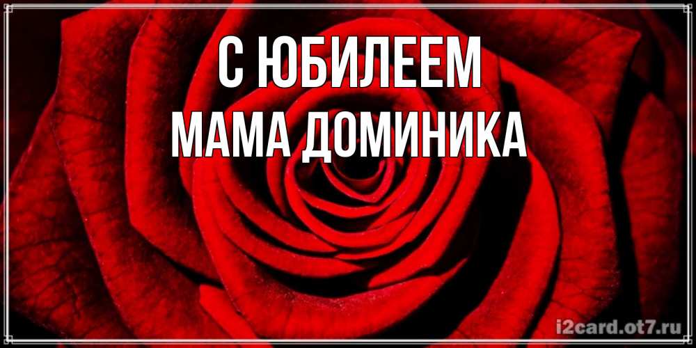 Открытка на каждый день с именем, Мама-Доминика С юбилеем алая роза Прикольная открытка с пожеланием онлайн скачать бесплатно 