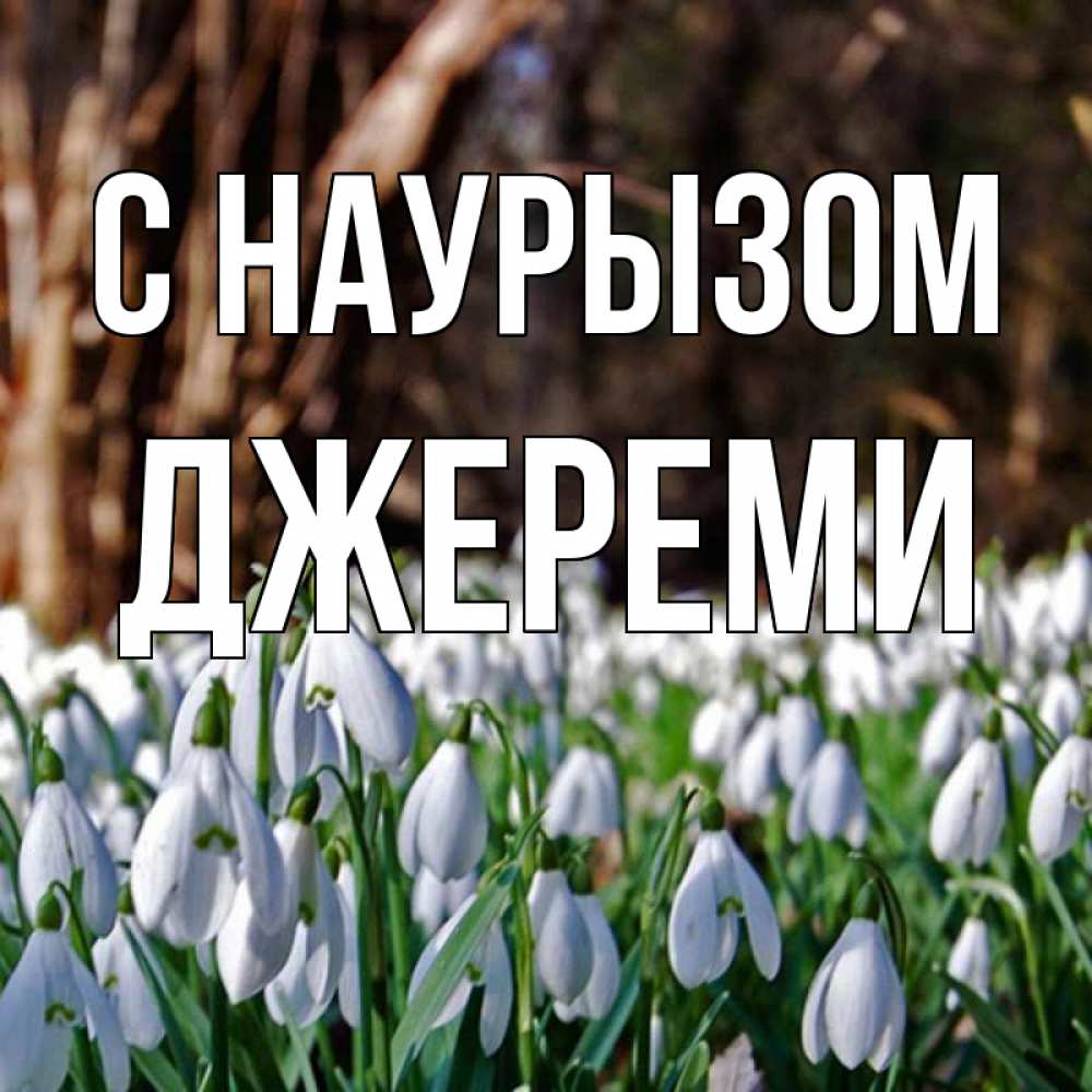 Открытка на каждый день с именем, Джереми С наурызом с подснежниками 1 Прикольная открытка с пожеланием онлайн скачать бесплатно 
