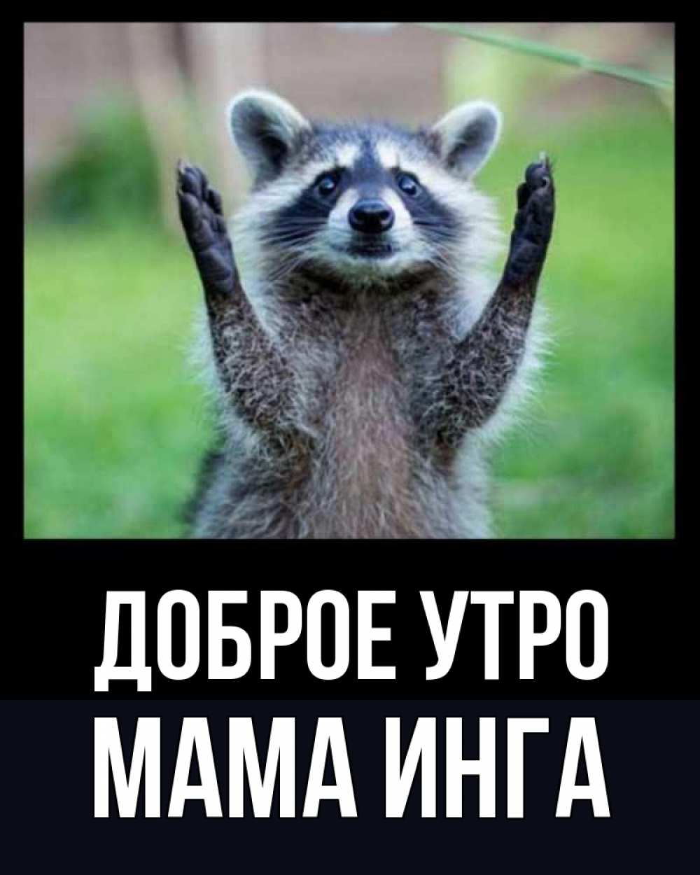 Открытка на каждый день с именем, Мама-Инга Доброе утро хорошее настроение утречком Прикольная открытка с пожеланием онлайн скачать бесплатно 