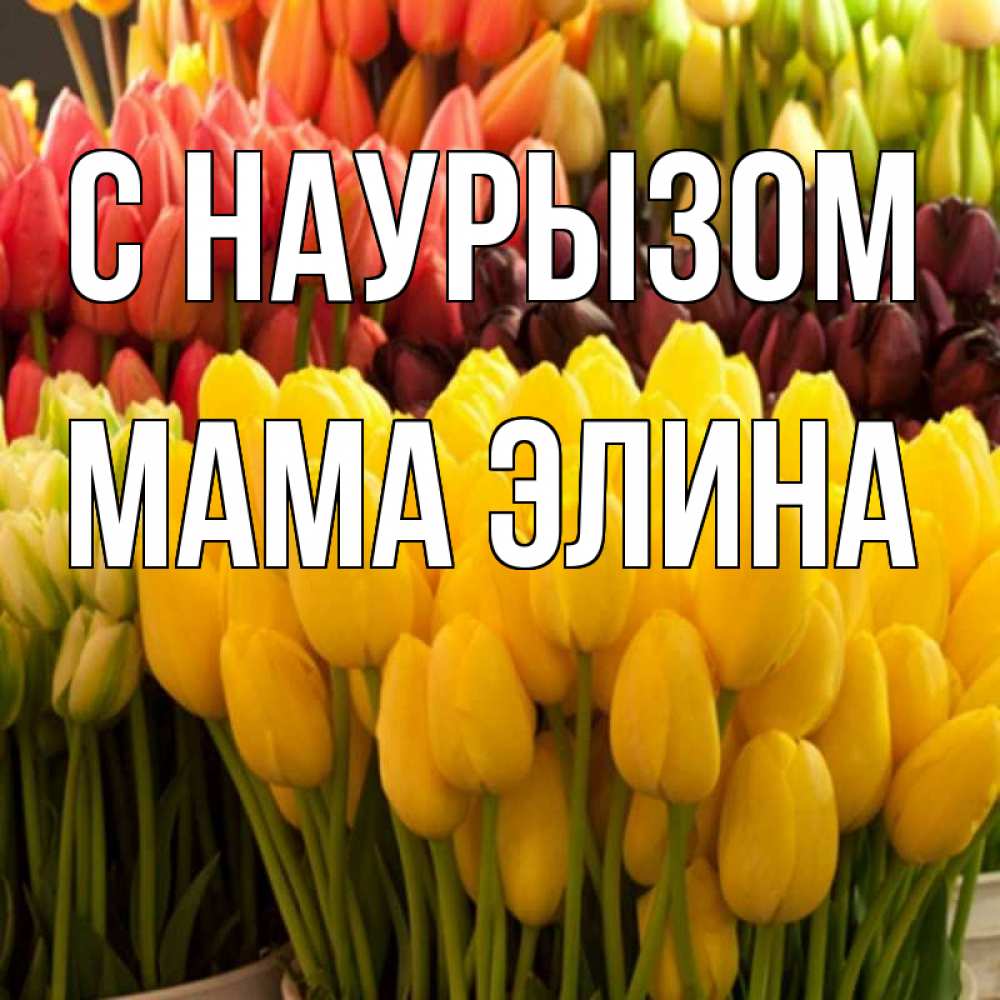 Открытка на каждый день с именем, Мама-Элина С наурызом цветы Прикольная открытка с пожеланием онлайн скачать бесплатно 