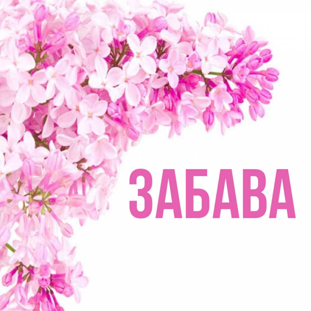 С Днем Рождения Рузиля Картинки
