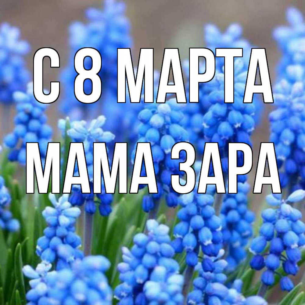 Картинка С 8 МАРТА, Мама Зара