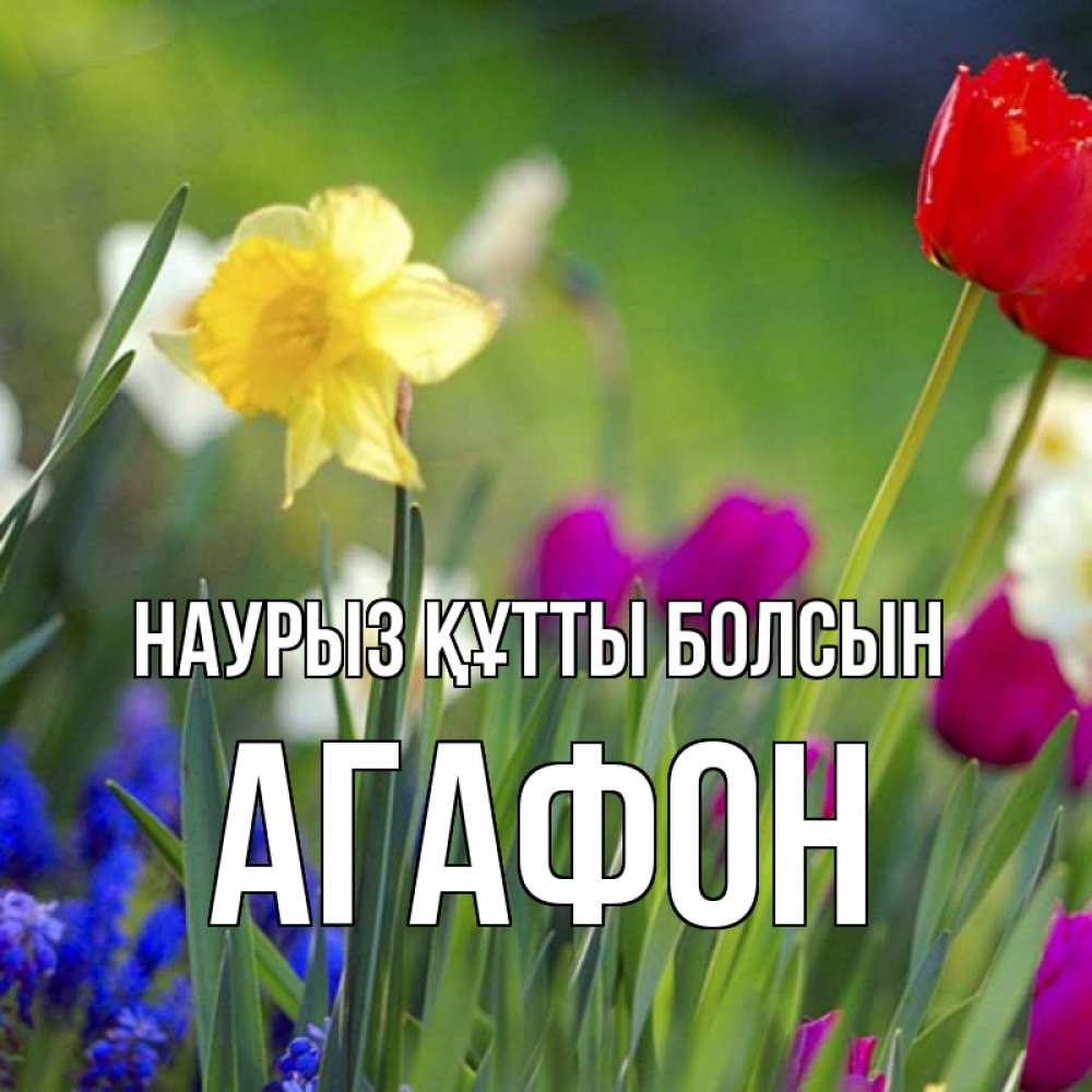 Открытка на каждый день с именем, Агафон Наурыз құтты болсын наурыз  3 открытки Прикольная открытка с пожеланием онлайн скачать бесплатно 
