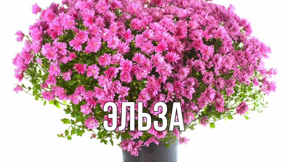 Картинка  с именем , Эльза