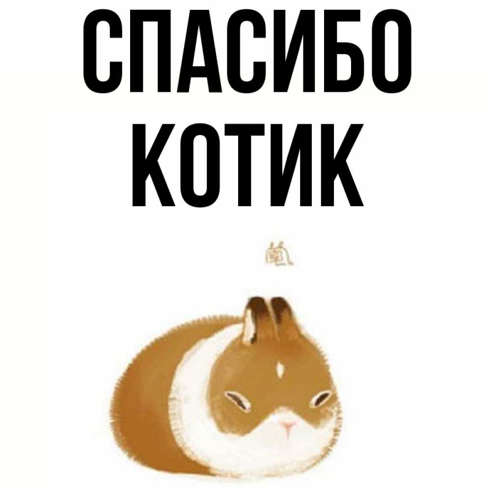 Спасибо котик