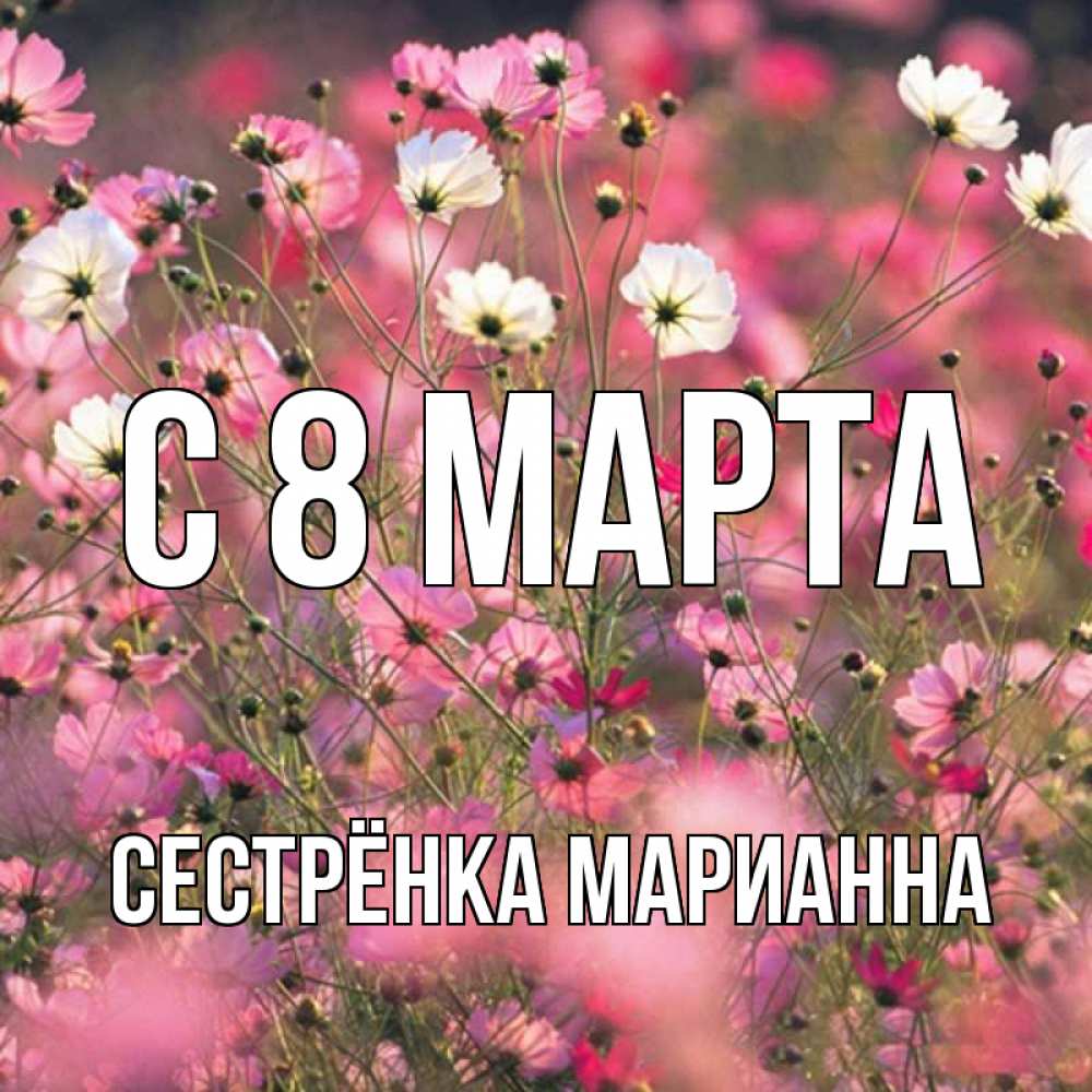 Открытка на каждый день с именем, Сестрёнка-Марианна С 8 МАРТА красиво 1 Прикольная открытка с пожеланием онлайн скачать бесплатно 