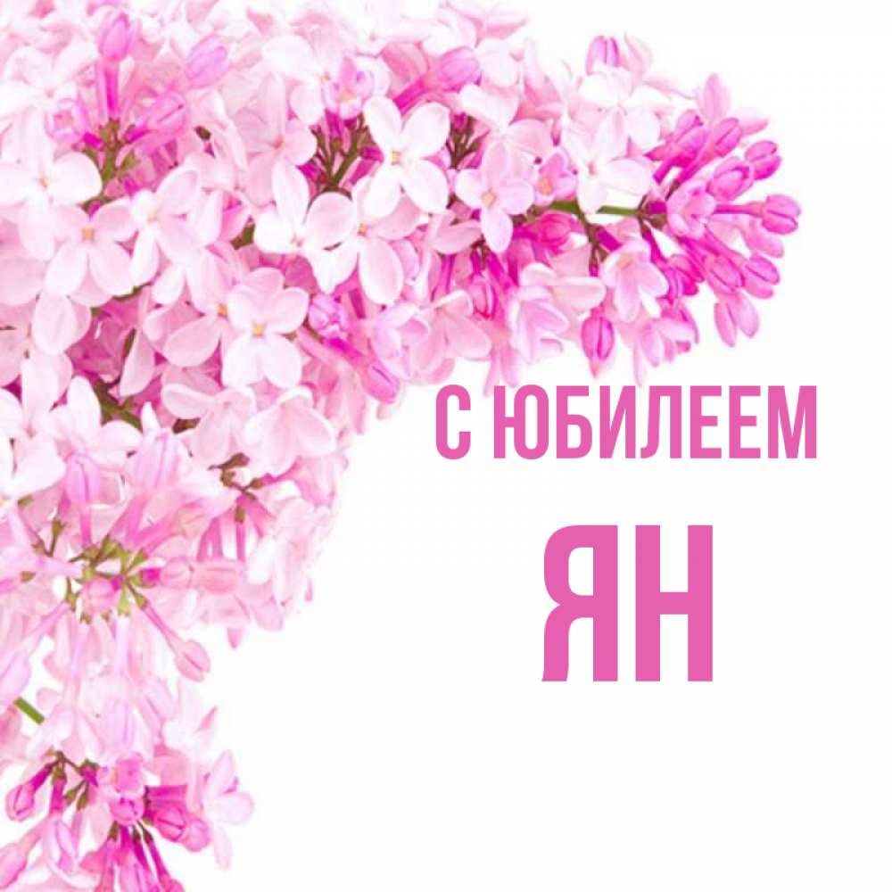 Открытка на каждый день с именем, Ян С юбилеем Сирень на белом фоне Прикольная открытка с пожеланием онлайн скачать бесплатно 