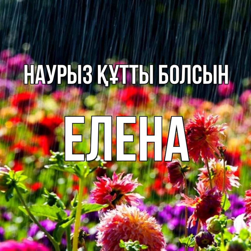 Открытка на каждый день с именем, Елена Наурыз құтты болсын цветы под дождиком к наурызу Прикольная открытка с пожеланием онлайн скачать бесплатно 
