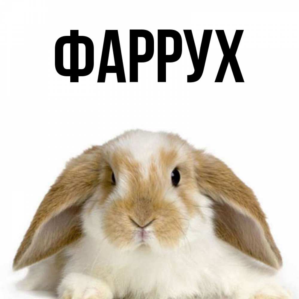 Картинка  с именем , Фаррух