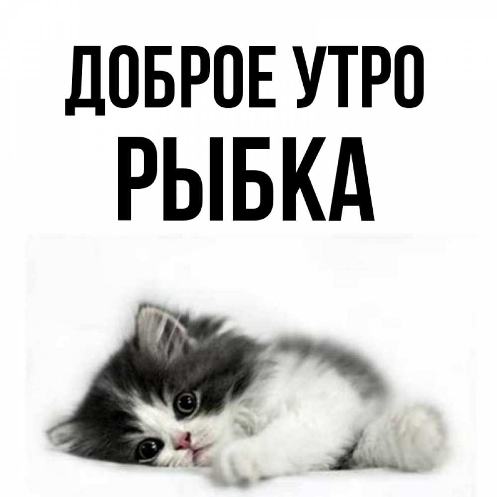 Открытка на каждый день с именем, Рыбка Доброе утро кот лапки Прикольная открытка с пожеланием онлайн скачать бесплатно 