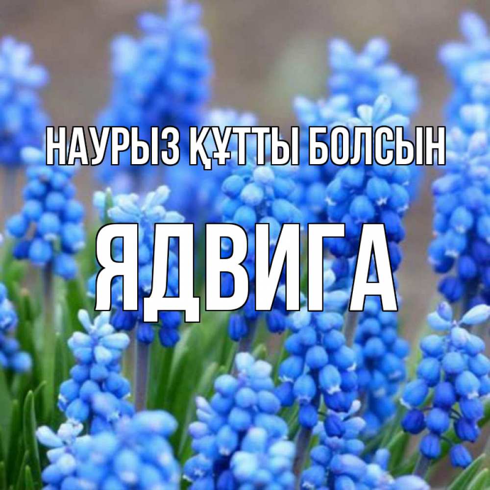 Открытка на каждый день с именем, Ядвига Наурыз құтты болсын Поздравительная открытка для женщин с цветами на праздничную дату Прикольная открытка с пожеланием онлайн скачать бесплатно 