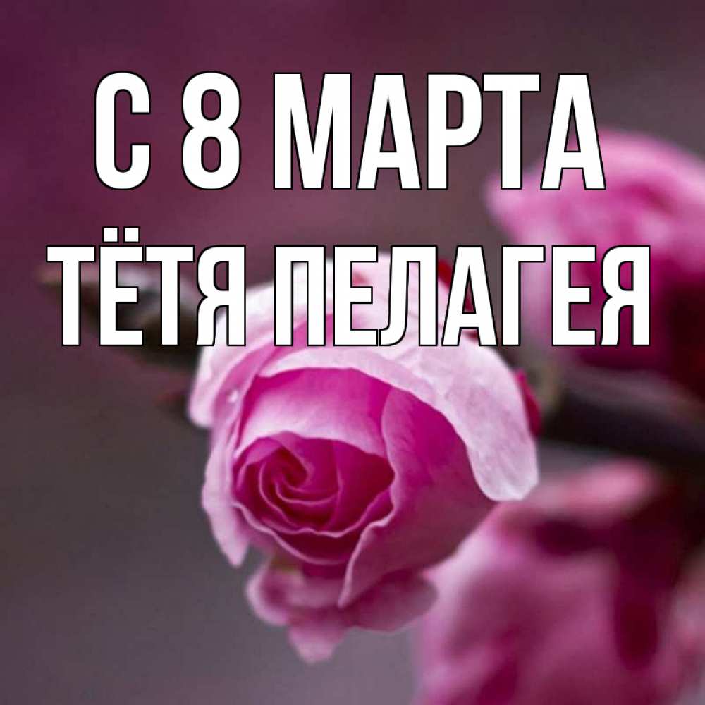 Открытка на каждый день с именем, Тётя-Пелагея С 8 МАРТА весна Прикольная открытка с пожеланием онлайн скачать бесплатно 