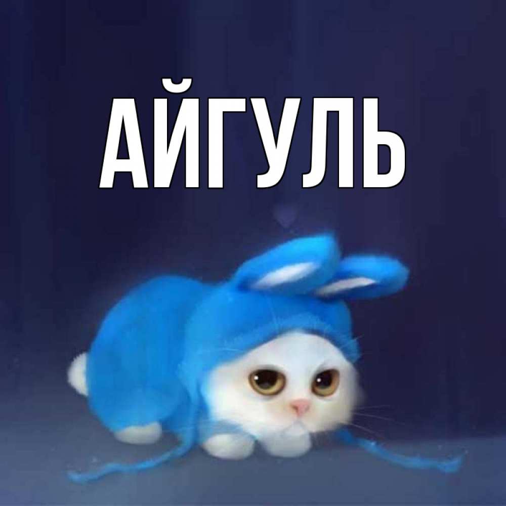 Открытка на каждый день с именем, Айгуль Главная кот в голубом костюме кролика с ушками Прикольная открытка с пожеланием онлайн скачать бесплатно 