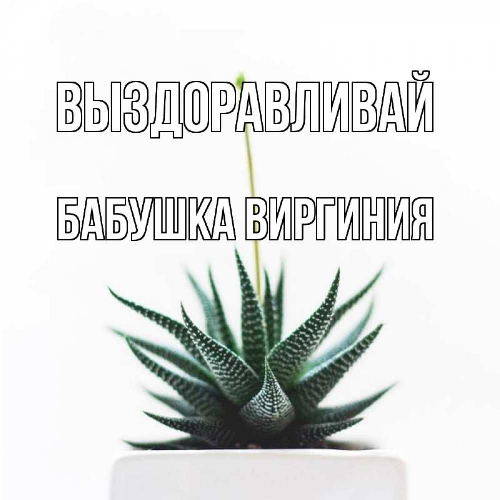 Открытка на каждый день с именем, Бабушка-Виргиния Выздоравливай короче это непонятная колючка Прикольная открытка с пожеланием онлайн скачать бесплатно 