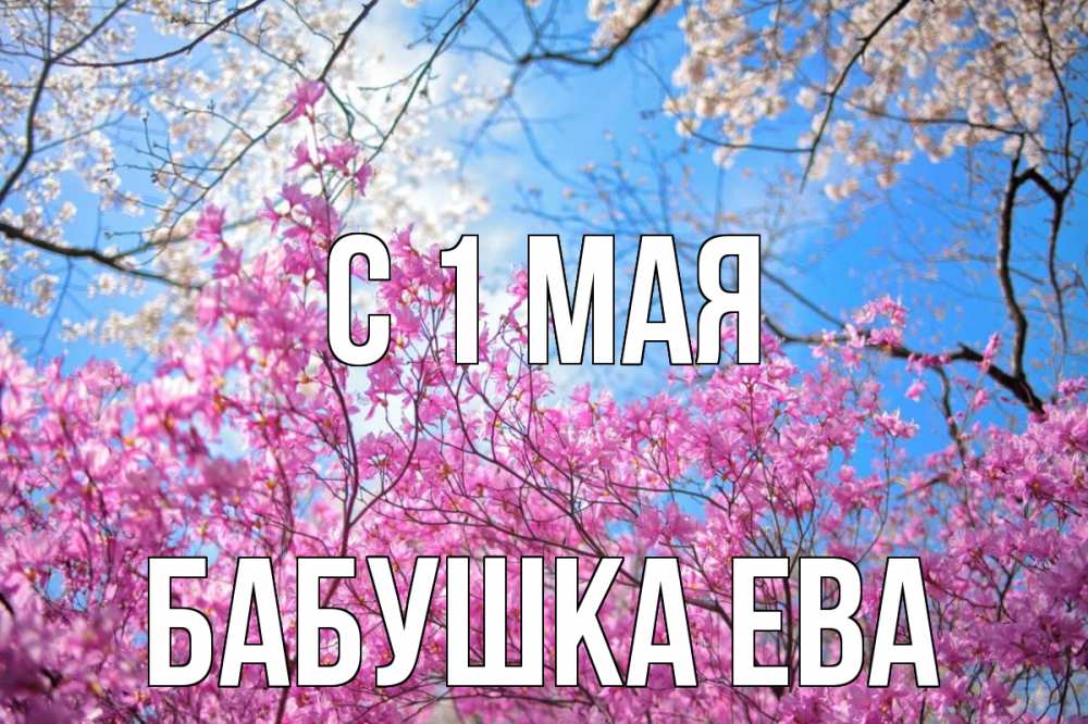 Открытка на каждый день с именем, Бабушка-Ева С 1 мая С 1 мая Прикольная открытка с пожеланием онлайн скачать бесплатно 