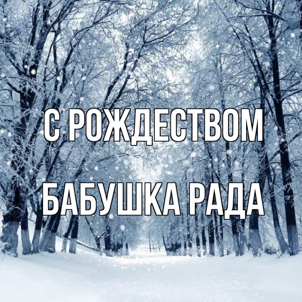 Открытка на каждый день с именем, Бабушка-Рада С рождеством снег, лес, парк Прикольная открытка с пожеланием онлайн скачать бесплатно 