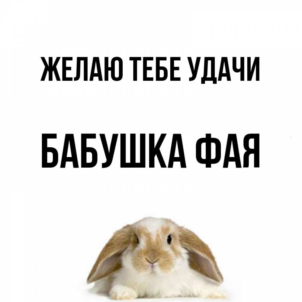 Открытка на каждый день с именем, Бабушка-Фая Желаю тебе удачи открытки с произвольным текстом который можно вставить в открытку и создать ее самостоятельно бесплатно онлайн Прикольная открытка с пожеланием онлайн скачать бесплатно 