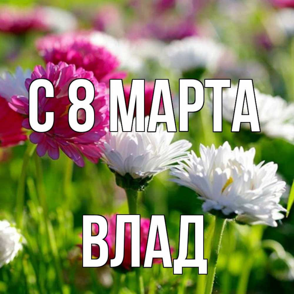 Открытка на каждый день с именем, Влад С 8 МАРТА международный женский день 1 Прикольная открытка с пожеланием онлайн скачать бесплатно 