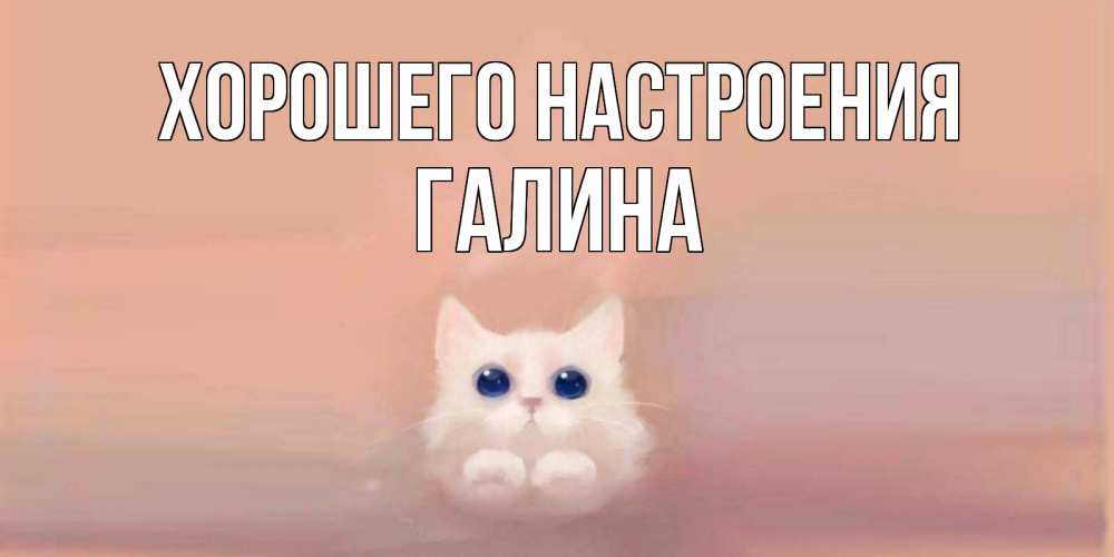 Открытка на каждый день с именем, Галина Хорошего настроения кошка Прикольная открытка с пожеланием онлайн скачать бесплатно 