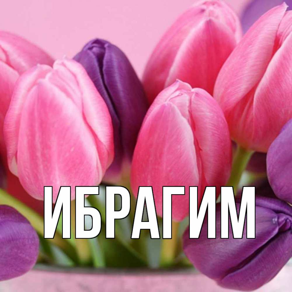 Открытка на каждый день с именем, Ибрагим Главная маме 1 Прикольная открытка с пожеланием онлайн скачать бесплатно 