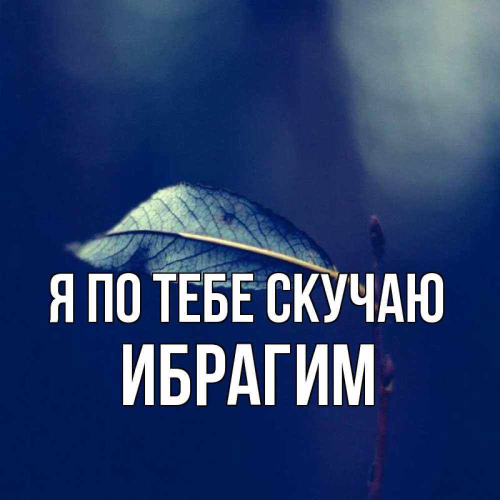 Открытка на каждый день с именем, Ибрагим Я по тебе скучаю одна ветка 1 Прикольная открытка с пожеланием онлайн скачать бесплатно 
