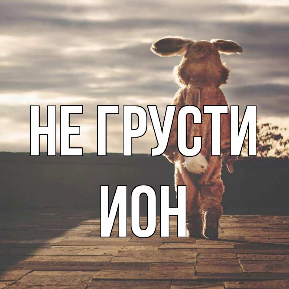 Открытка на каждый день с именем, Ион Не грусти со спины Прикольная открытка с пожеланием онлайн скачать бесплатно 