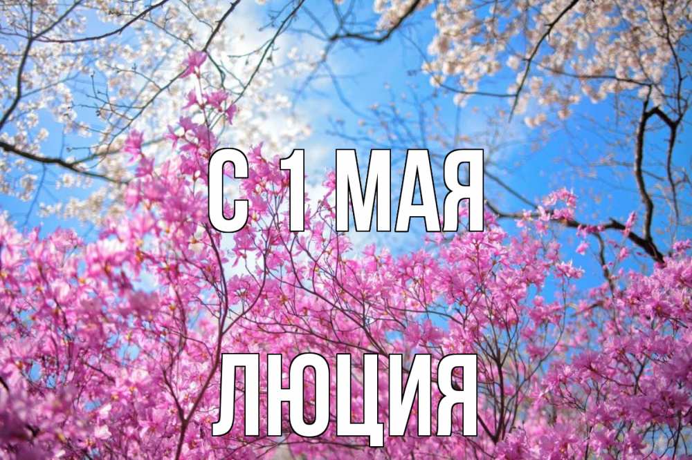 Открытка на каждый день с именем, Люция С 1 мая С 1 мая Прикольная открытка с пожеланием онлайн скачать бесплатно 