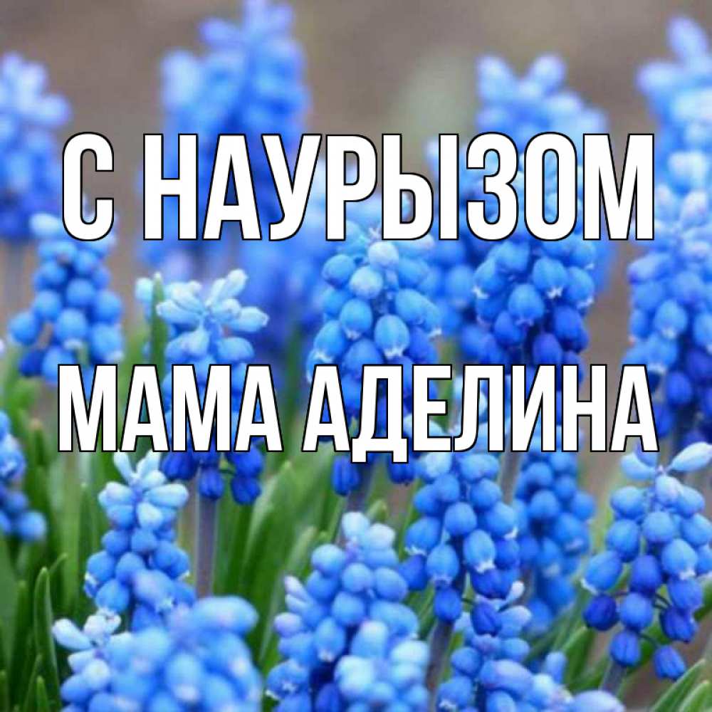 Открытка на каждый день с именем, Мама-Аделина С наурызом Поздравительная открытка для женщин с цветами на праздничную дату Прикольная открытка с пожеланием онлайн скачать бесплатно 