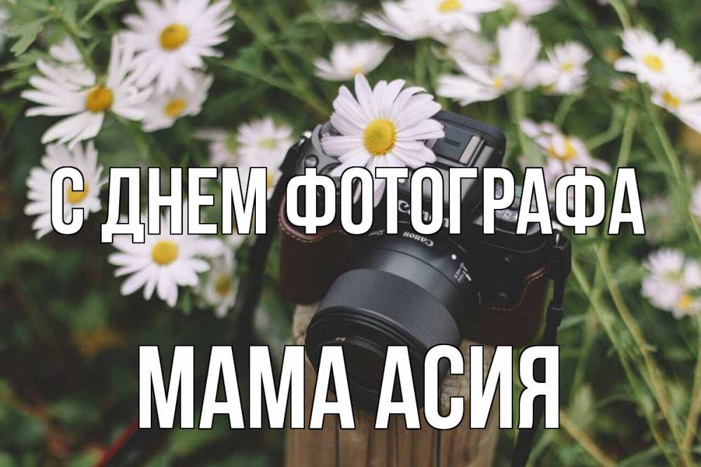 Открытка на каждый день с именем, Мама-Асия С днем фотографа с днем фотографа Прикольная открытка с пожеланием онлайн скачать бесплатно 
