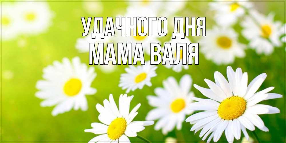 Открытка на каждый день с именем, Мама-Валя Удачного дня открытка с ромашками на зеленом фоне Прикольная открытка с пожеланием онлайн скачать бесплатно 