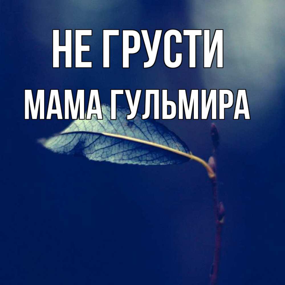 Открытка на каждый день с именем, Мама-Гульмира Не грусти растение Прикольная открытка с пожеланием онлайн скачать бесплатно 