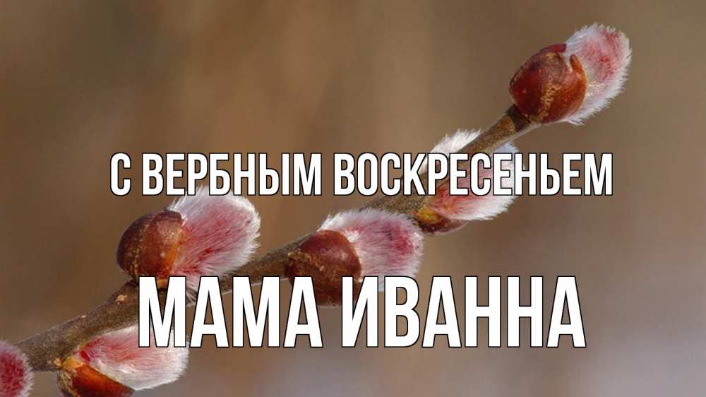 Открытка на каждый день с именем, Мама-Иванна С вербным воскресеньем верба Прикольная открытка с пожеланием онлайн скачать бесплатно 