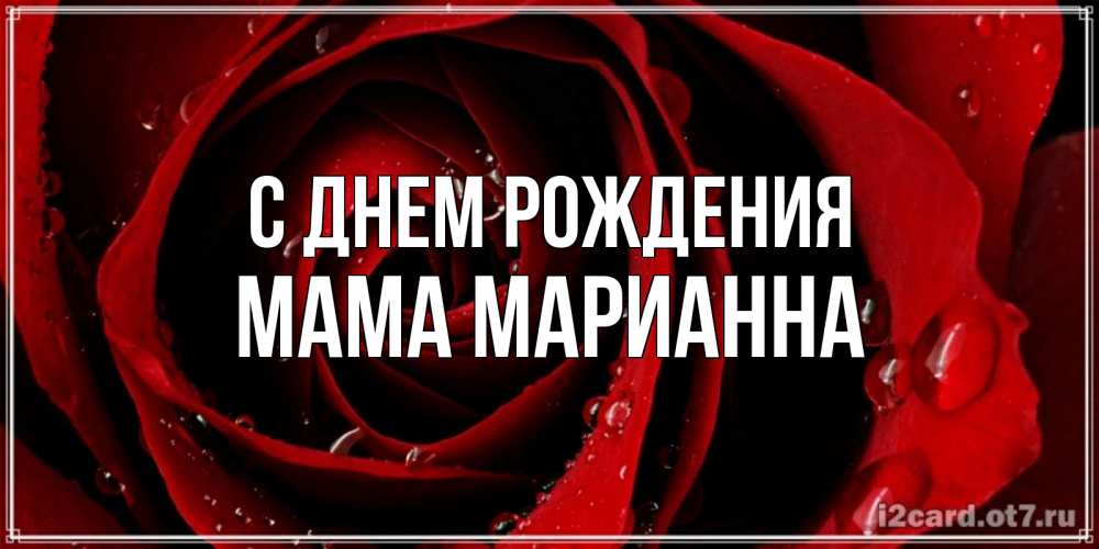 Открытка на каждый день с именем, Мама-Марианна С днем рождения крупная бордовая роза Прикольная открытка с пожеланием онлайн скачать бесплатно 