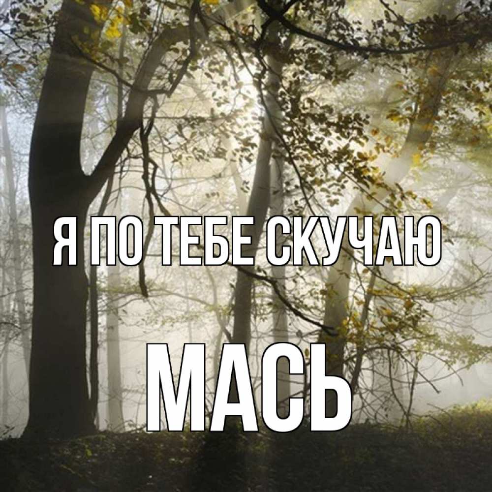 Открытка на каждый день с именем, Мась Я по тебе скучаю грустно Прикольная открытка с пожеланием онлайн скачать бесплатно 