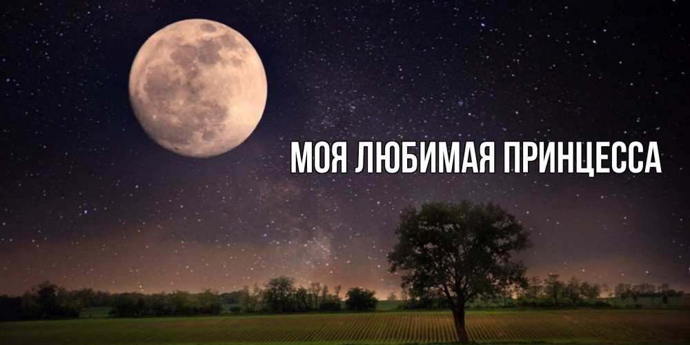 Открытка на каждый день с именем, Моя-Любимая-Принцесса Главная ночные открытки с луной Прикольная открытка с пожеланием онлайн скачать бесплатно 