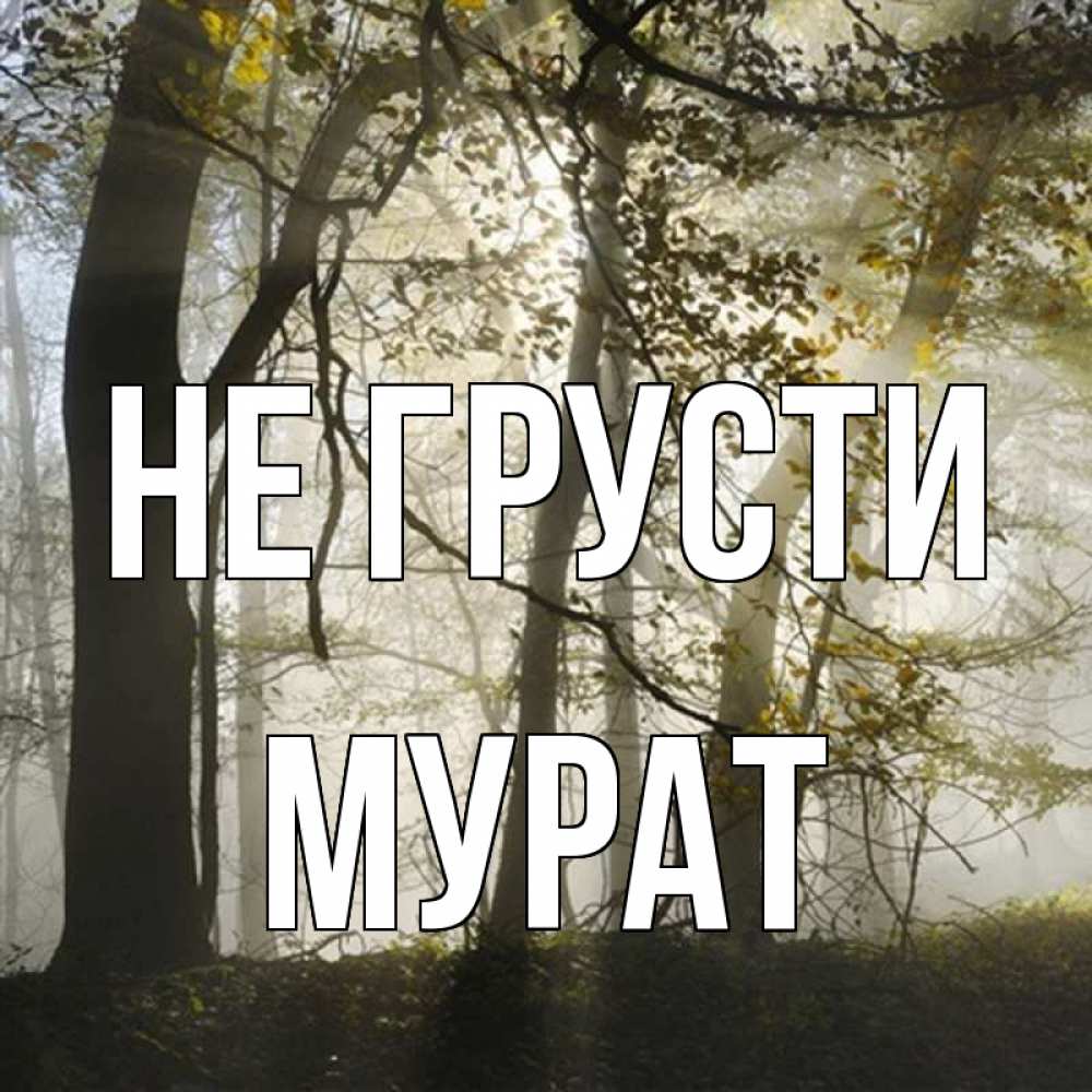 Открытка на каждый день с именем, Мурат Не грусти лес и свет Прикольная открытка с пожеланием онлайн скачать бесплатно 