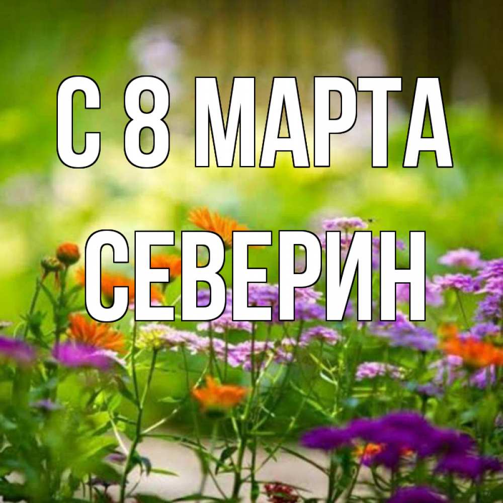 Открытка на каждый день с именем, Северин С 8 марта цветы Прикольная открытка с пожеланием онлайн скачать бесплатно 