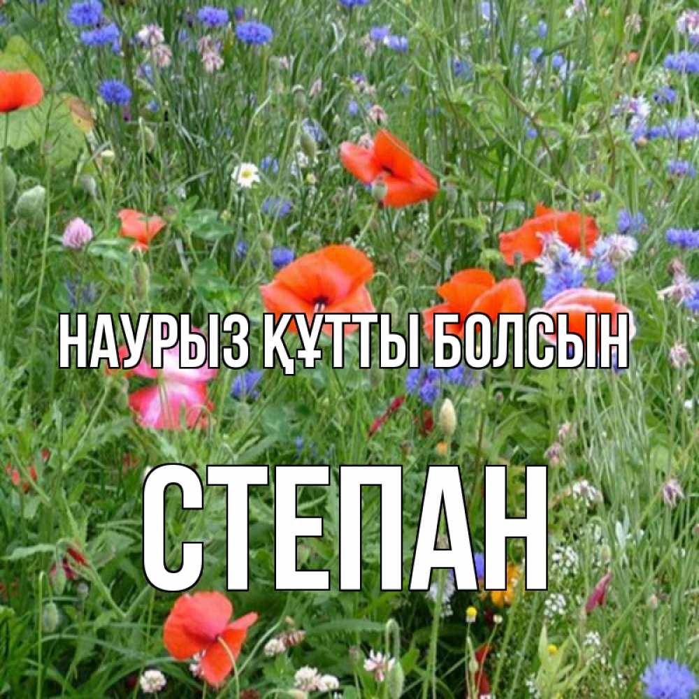 Открытка на каждый день с именем, Степан Наурыз құтты болсын наурыз  4 Прикольная открытка с пожеланием онлайн скачать бесплатно 