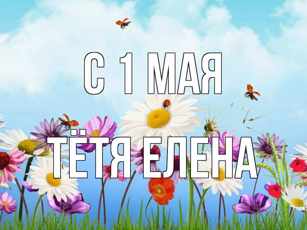 Открытка на каждый день с именем, Тётя-Елена С 1 мая С 1 мая Прикольная открытка с пожеланием онлайн скачать бесплатно 