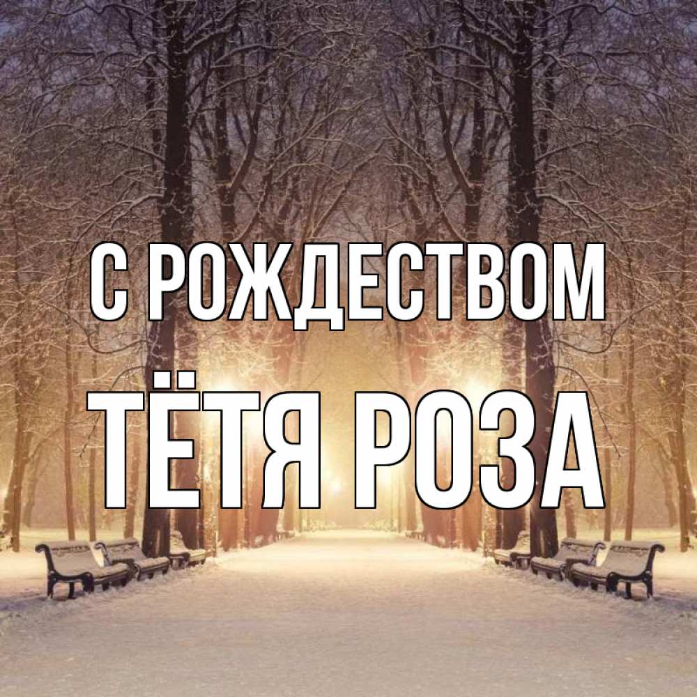 Открытка на каждый день с именем, Тётя-Роза С рождеством зима, парк, фонарь, лес Прикольная открытка с пожеланием онлайн скачать бесплатно 