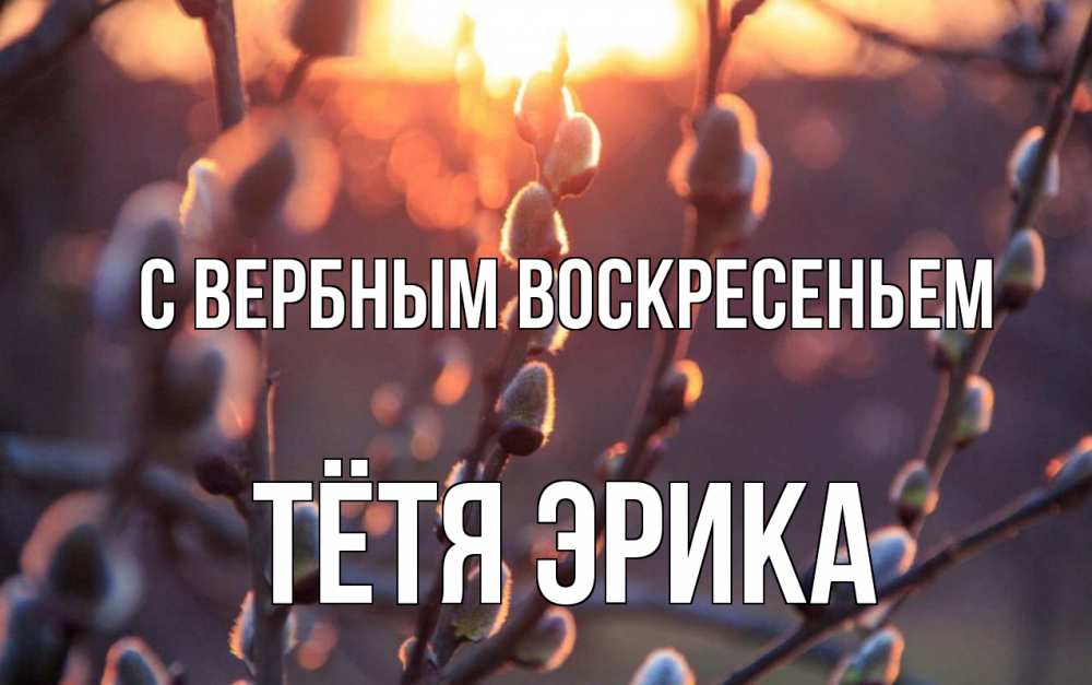 Открытка на каждый день с именем, Тётя-Эрика С вербным воскресеньем верба Прикольная открытка с пожеланием онлайн скачать бесплатно 