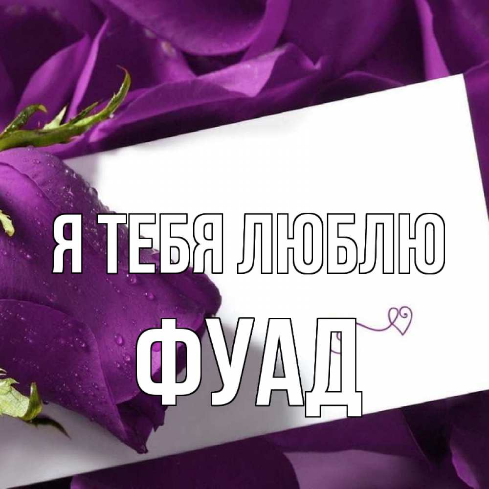 Открытка на каждый день с именем, Фуад Я тебя люблю роза Прикольная открытка с пожеланием онлайн скачать бесплатно 