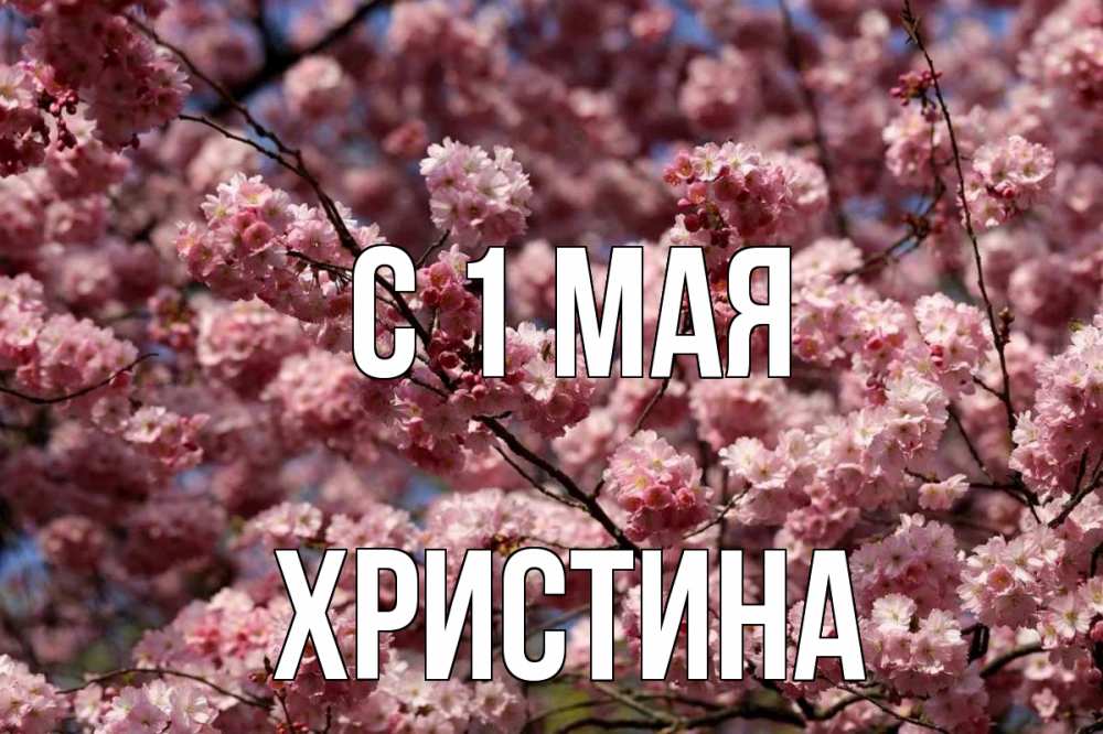Открытка на каждый день с именем, Христина С 1 мая С 1 мая Прикольная открытка с пожеланием онлайн скачать бесплатно 