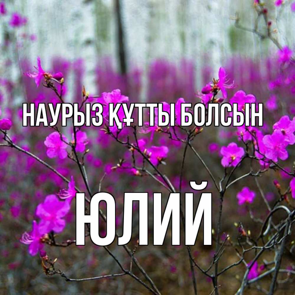 Открытка на каждый день с именем, Юлий Наурыз құтты болсын дикие цветы Прикольная открытка с пожеланием онлайн скачать бесплатно 