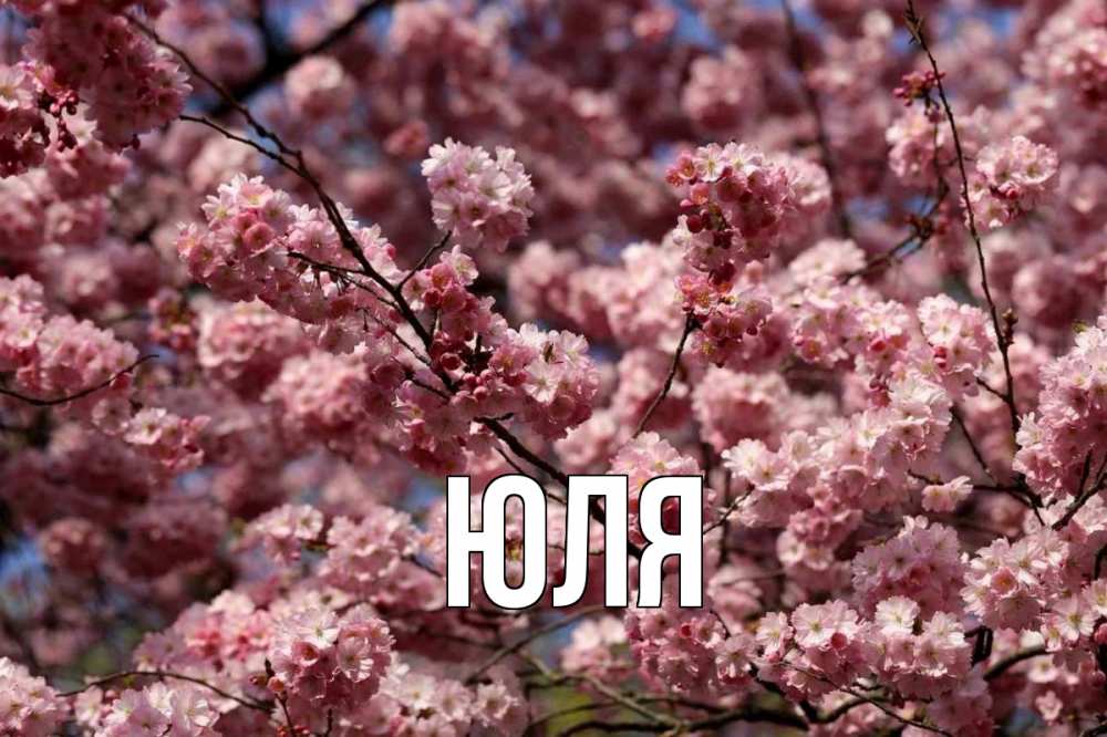 Открытка на каждый день с именем, Юля Главная С 1 мая Прикольная открытка с пожеланием онлайн скачать бесплатно 