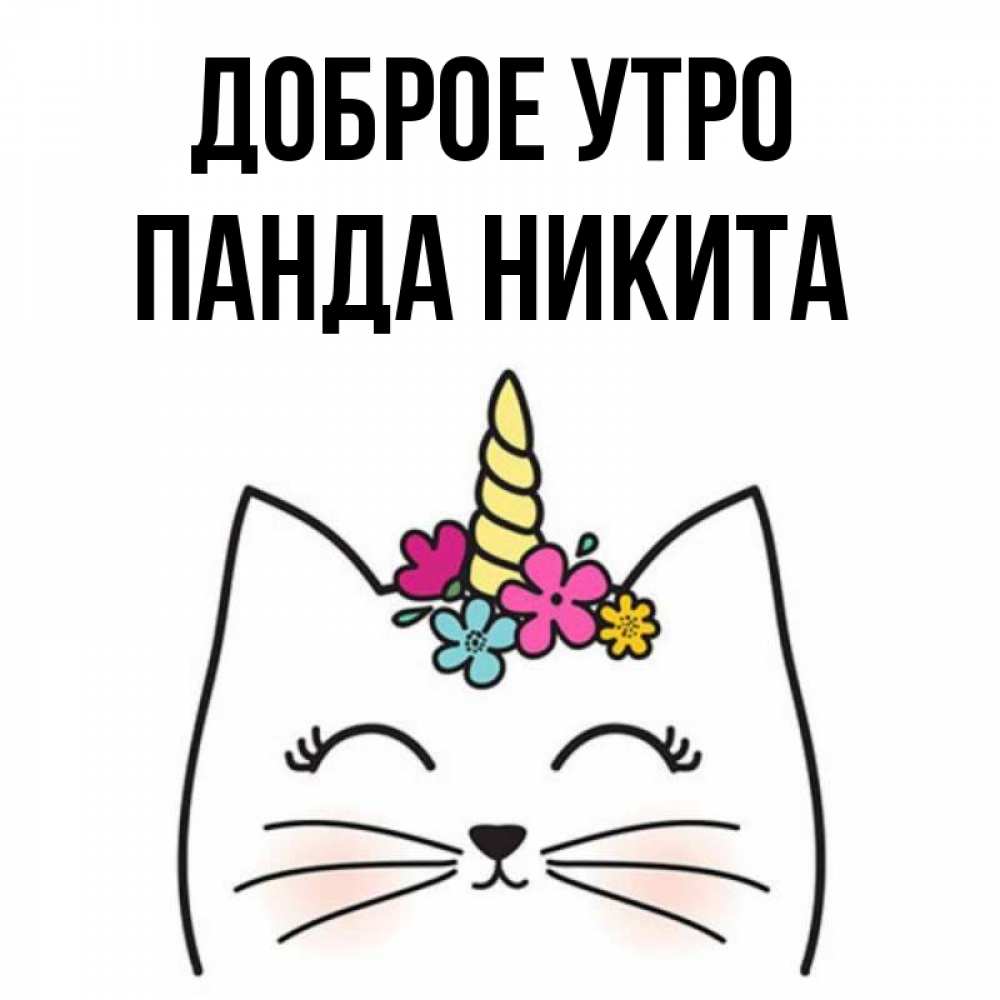 Открытка на каждый день с именем, панда-Никита Доброе утро утречко Прикольная открытка с пожеланием онлайн скачать бесплатно 